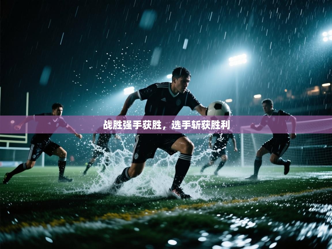 开云体育在线下载-战胜强手获胜,选手斩获胜利 第2张