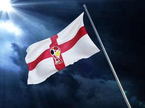开云体育在线入口-英格兰队进账！决胜欧锦赛预选赛迈入新步，英格兰欧锦赛最好成绩